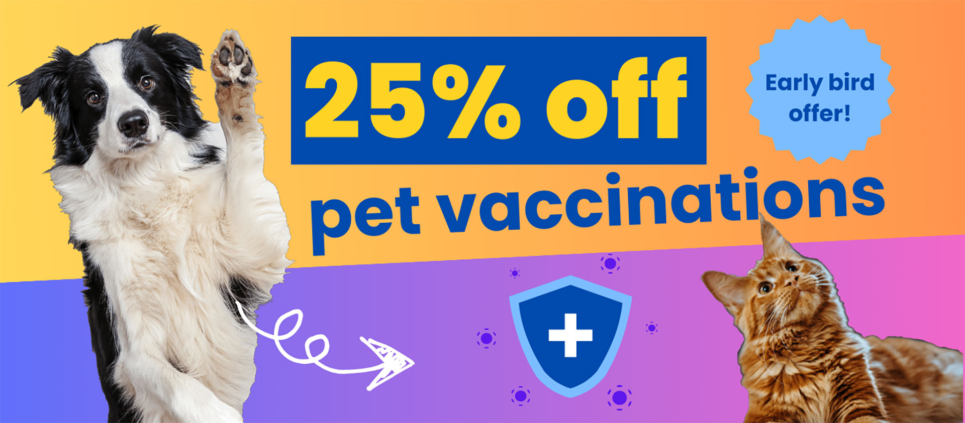 Pregnancy, Pets and Bringing Home Your Baby PETVET Lower Hutt